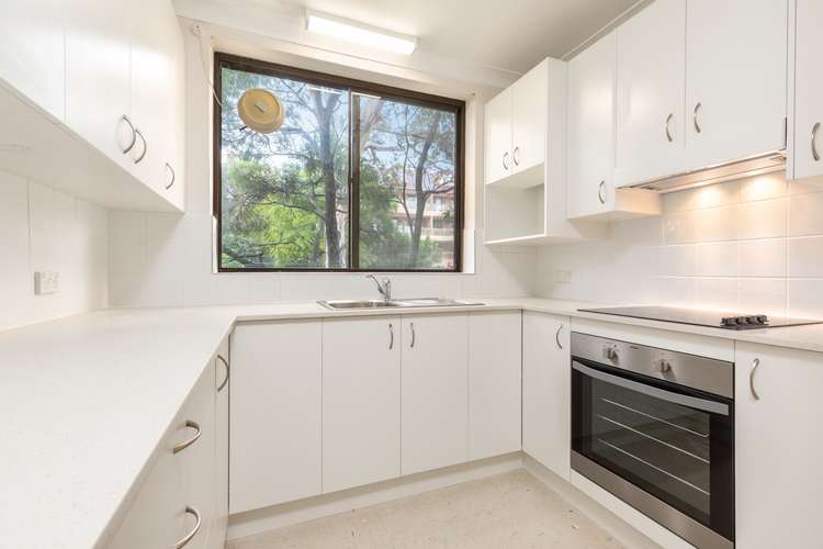 Main view of Homely unit listing, 19/10 Eddy Road, Chatswood NSW 2067