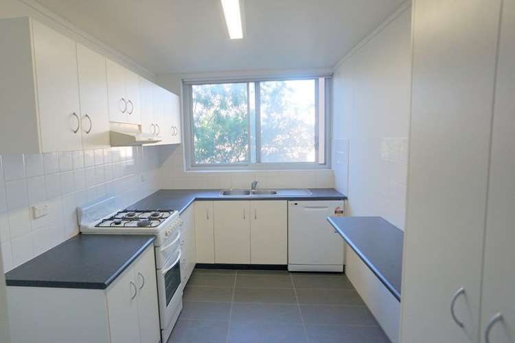 Third view of Homely apartment listing, 5/54 Bondi Road, Bondi Junction NSW 2022