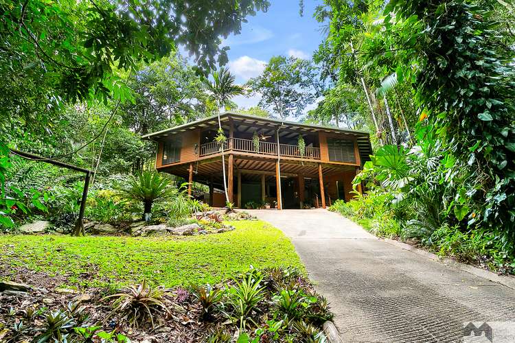 Main view of Homely house listing, 51 Latreille Terrace, Brinsmead QLD 4870