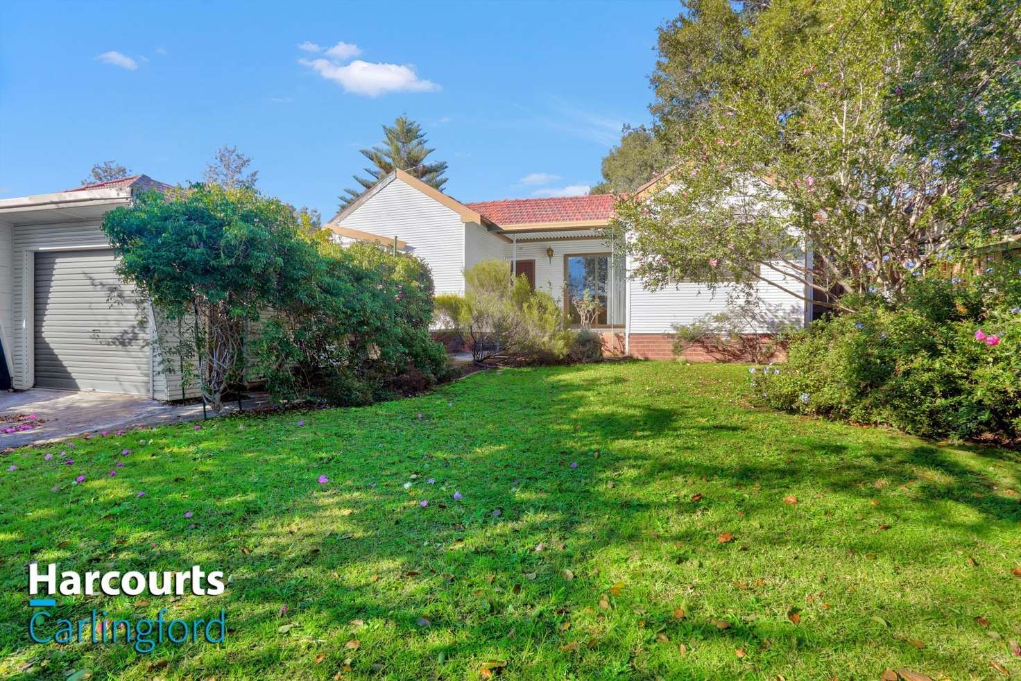 Main view of Homely house listing, 16 Dunmore Avenue, Carlingford NSW 2118