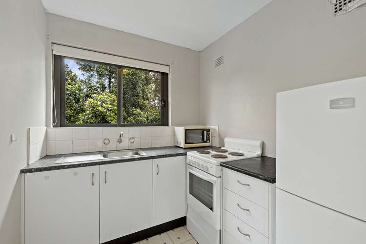 Second view of Homely studio listing, 12/103 Cardigan Street, Stanmore NSW 2048