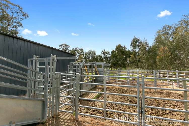 Third view of Homely ruralOther listing, 105 Cheviot Road, Yea VIC 3717