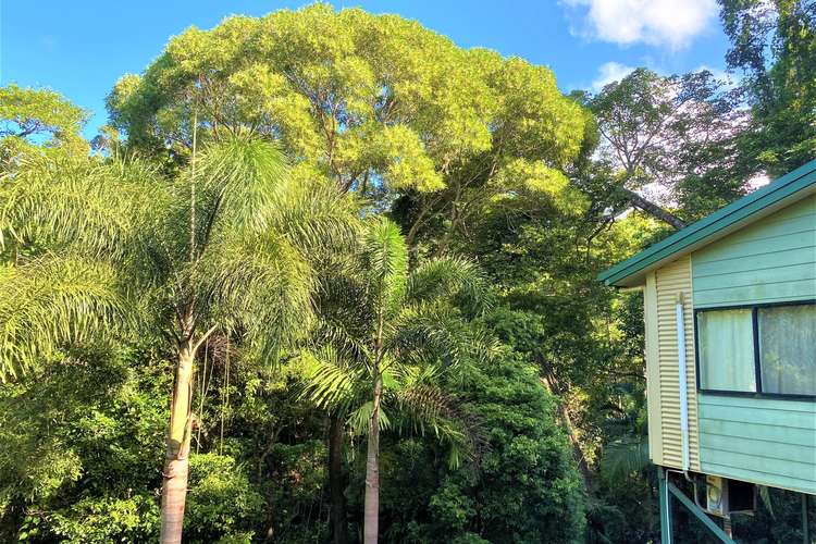Main view of Homely house listing, 20 Rainforest Street, Cooktown QLD 4895