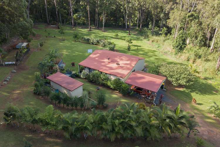 591 Bloomfield Road, Rossville QLD 4895