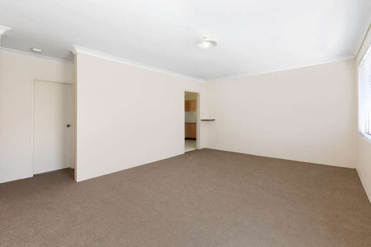 Second view of Homely blockOfUnits listing, 43 Hillard Street, Wiley Park NSW 2195