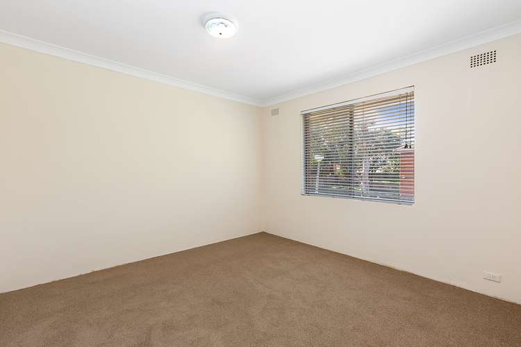 Fourth view of Homely blockOfUnits listing, 43 Hillard Street, Wiley Park NSW 2195
