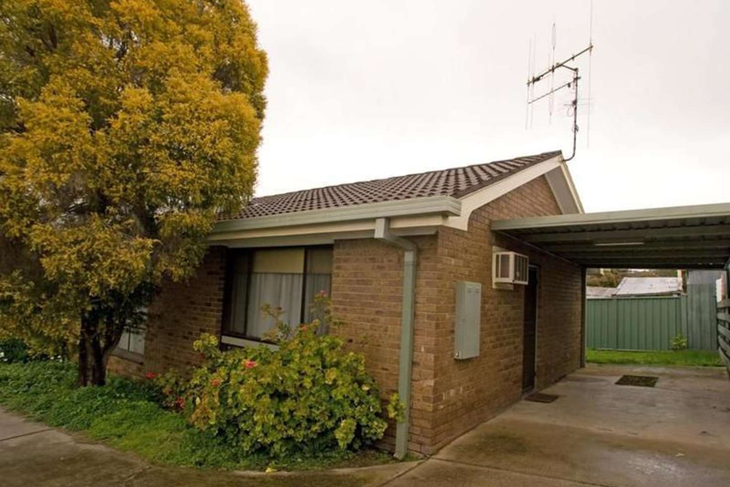 Main view of Homely unit listing, 3/24 Drought Street, Bendigo VIC 3550