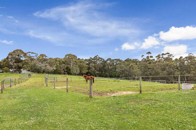 Third view of Homely acreageSemiRural listing, 630 McDougal Road, Neerim South VIC 3831