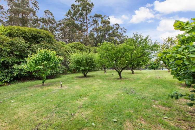 Seventh view of Homely acreageSemiRural listing, 630 McDougal Road, Neerim South VIC 3831