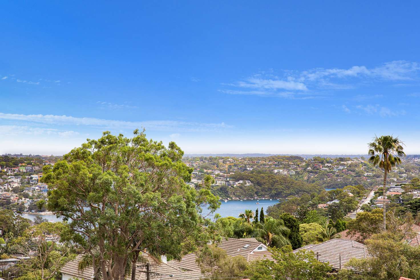 Main view of Homely apartment listing, 11/114 Spit Road, Mosman NSW 2088