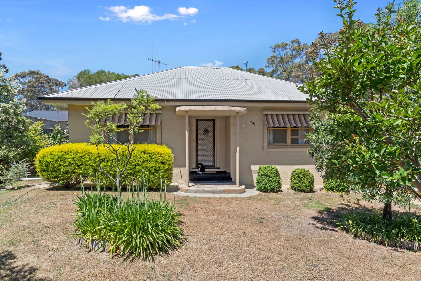 Main view of Homely house listing, 203 Allingham Street, Kangaroo Flat VIC 3555