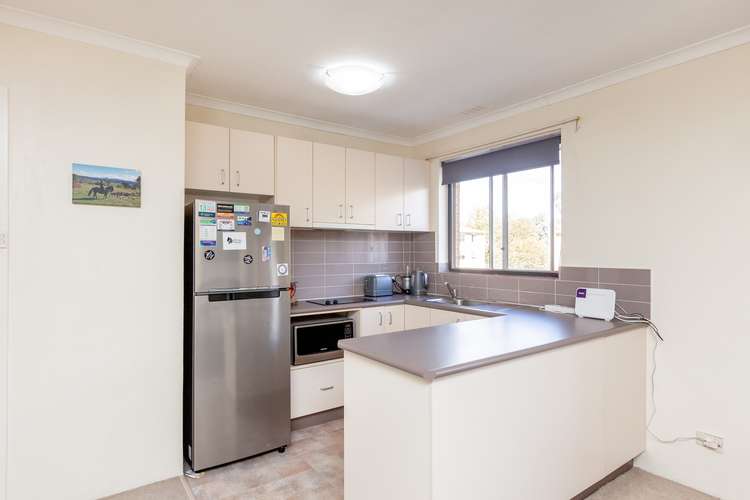 Second view of Homely studio listing, 73/3 Waddell Place, Curtin ACT 2605