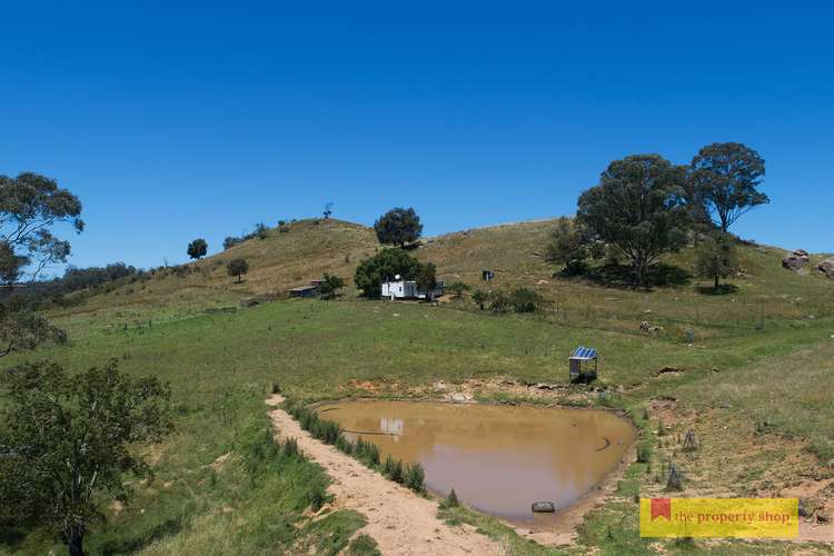 Main view of Homely ruralOther listing, 756 Upper Botobolar Road, Mudgee NSW 2850