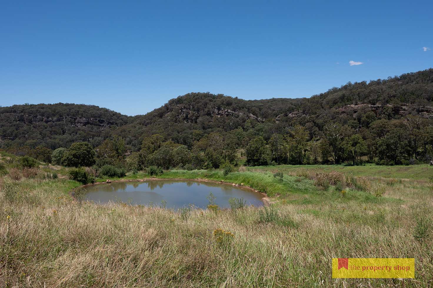 Main view of Homely ruralOther listing, 868 Upper Botobolar Road, Mudgee NSW 2850