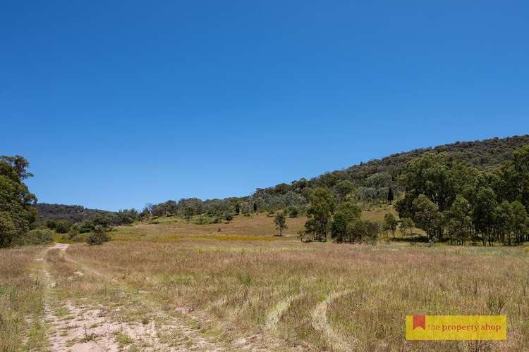 Third view of Homely ruralOther listing, 868 Upper Botobolar Road, Mudgee NSW 2850