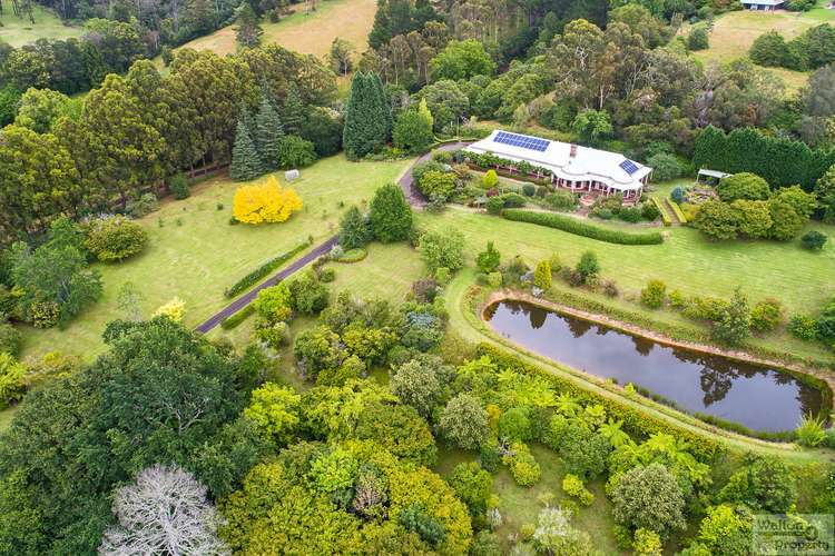 Second view of Homely acreageSemiRural listing, 33 Douglas Road, Kurrajong Heights NSW 2758