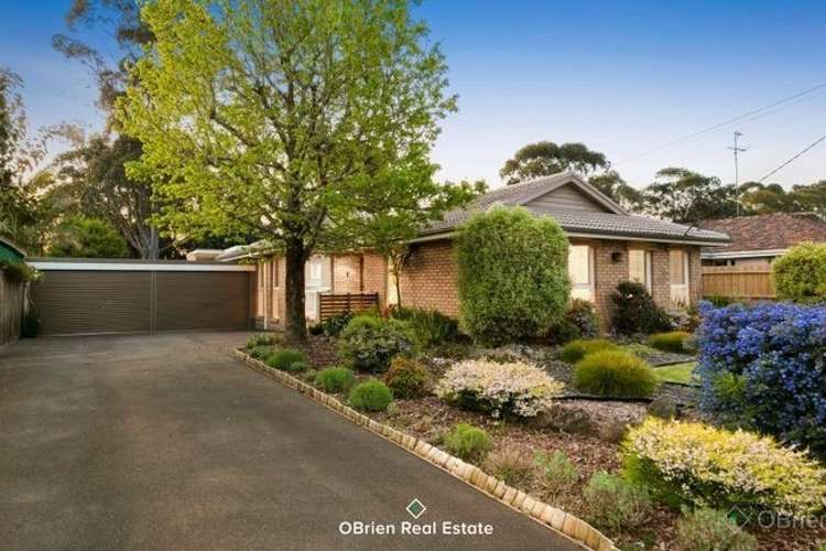 Main view of Homely house listing, 16 Margaret Street, Berwick VIC 3806