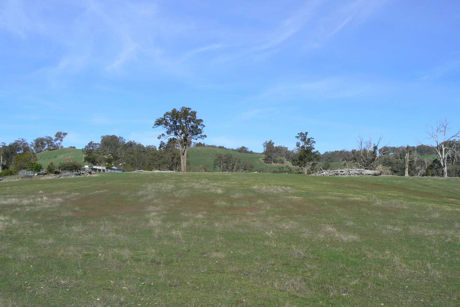 Main view of Homely ruralOther listing, 443 Thomson Brook Road, Thomson Brook WA 6239