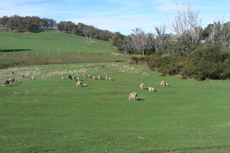 Sixth view of Homely ruralOther listing, 443 Thomson Brook Road, Thomson Brook WA 6239