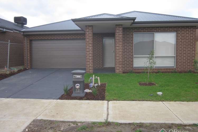 Main view of Homely house listing, 12 Glenelg Street, Clyde North VIC 3978