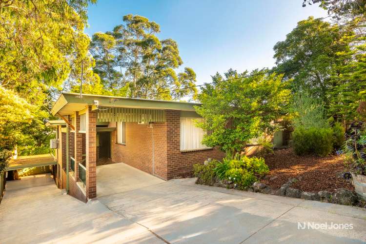 Main view of Homely house listing, 40 Jeffrey Drive, Ringwood VIC 3134