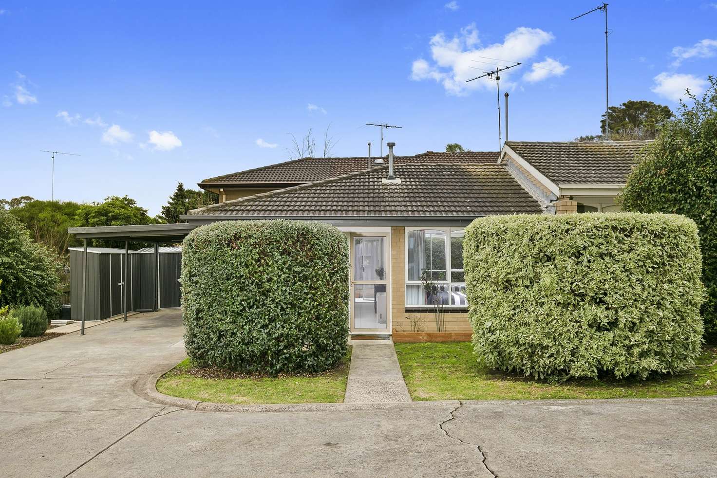 Main view of Homely unit listing, 5/56 Iona Avenue, Belmont VIC 3216