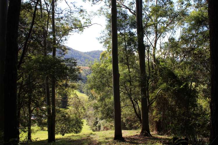 Sixth view of Homely residentialLand listing, 265C Dairyville Road, Upper Orara NSW 2450