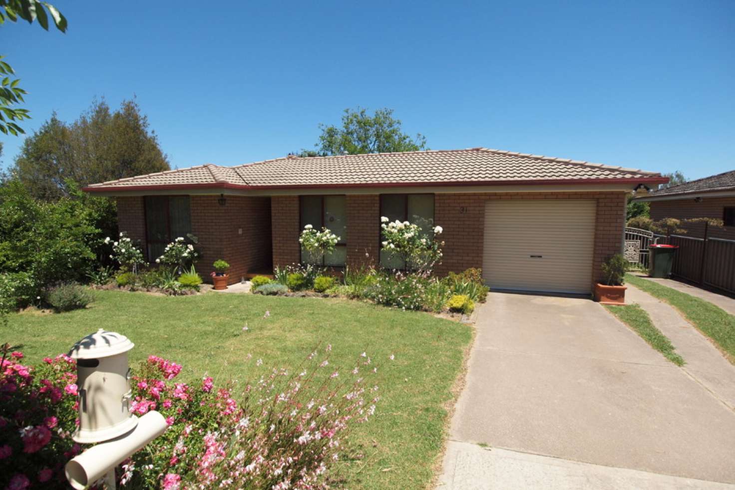 Main view of Homely house listing, 31 Wakeford Street, Orange NSW 2800