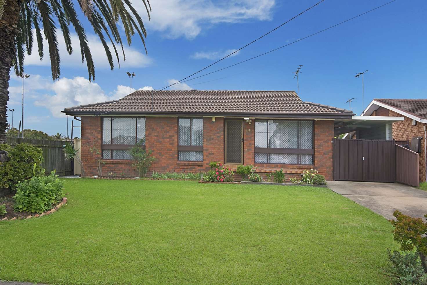 Main view of Homely house listing, 19 Tucks Road, Toongabbie NSW 2146