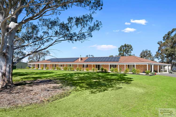 Main view of Homely acreageSemiRural listing, 224-230 Hinxman Road, Castlereagh NSW 2749