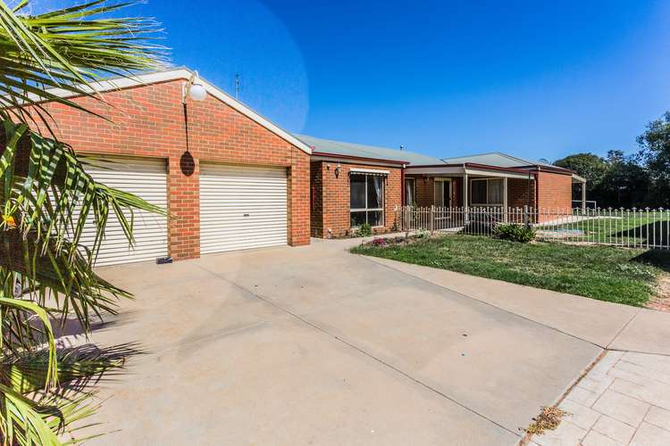 Main view of Homely house listing, 3 Counaut Place, Echuca VIC 3564