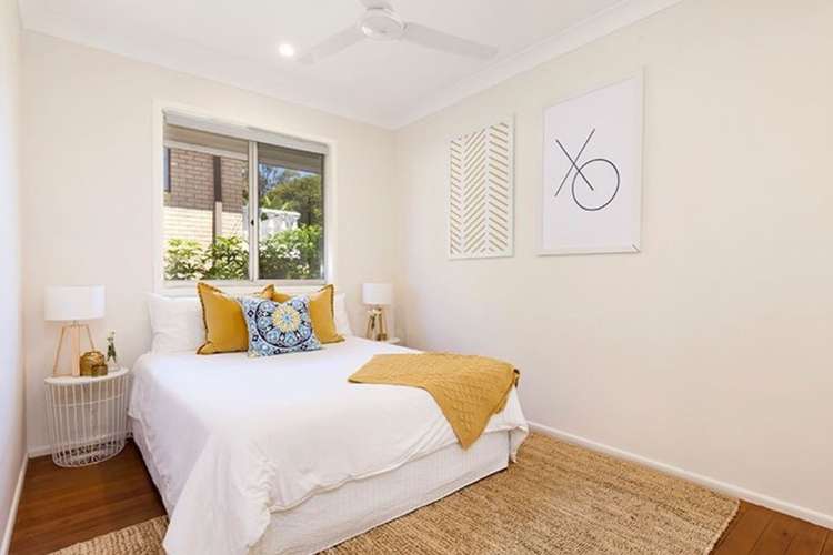 Sixth view of Homely unit listing, 3/33 Shottery Street, Yeronga QLD 4104