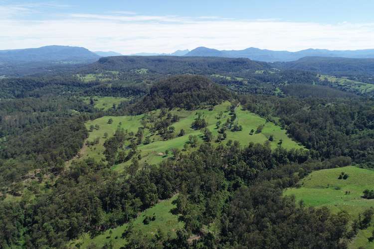 Second view of Homely acreageSemiRural listing, 85 E. J. Olley Road, Larnook NSW 2480
