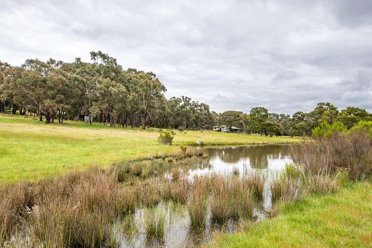 Fourth view of Homely ruralOther listing, 67 Pre-Emptive Drive, Scarsdale VIC 3351