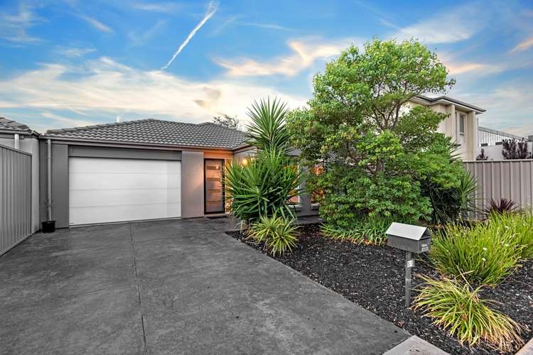 51 Dunorlan Road, Edwardstown SA 5039