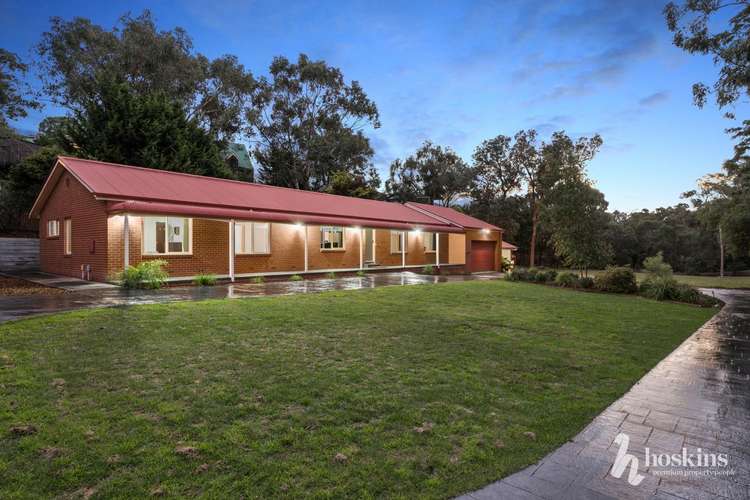 Main view of Homely house listing, 81 Little John Road, Warranwood VIC 3134