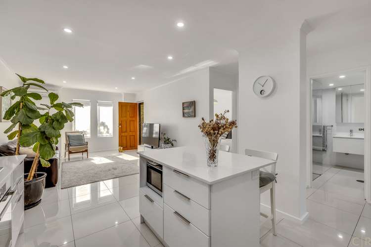 Main view of Homely blockOfUnits listing, 7/41 Hurtle Square, Adelaide SA 5000