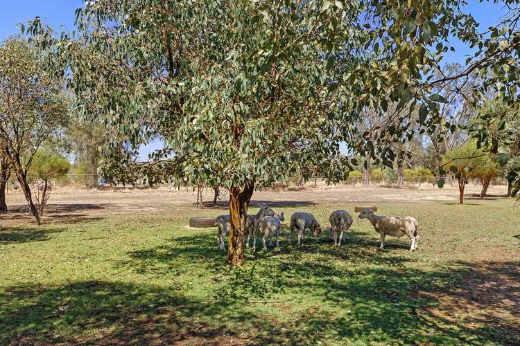 Seventh view of Homely house listing, 12 Elwood Loop, Oakford WA 6121