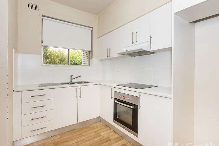 Main view of Homely apartment listing, 2/6B Connelly Street, Penshurst NSW 2222