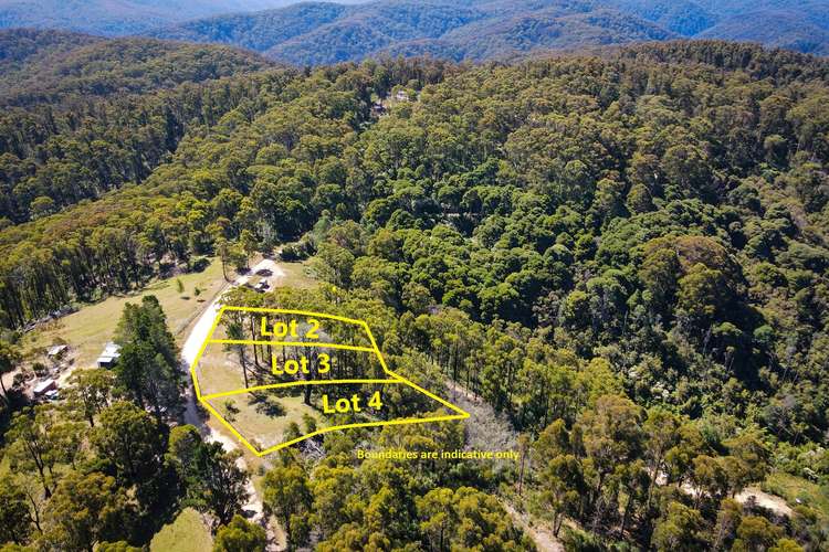 Main view of Homely ruralOther listing, LOT 1-12 Happy Go Lucky Road, Walhalla VIC 3825