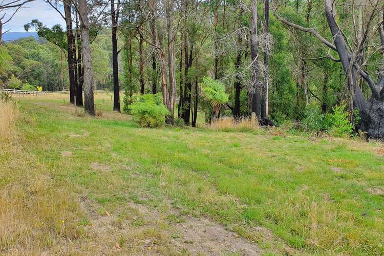 Fourth view of Homely ruralOther listing, LOT 1-12 Happy Go Lucky Road, Walhalla VIC 3825
