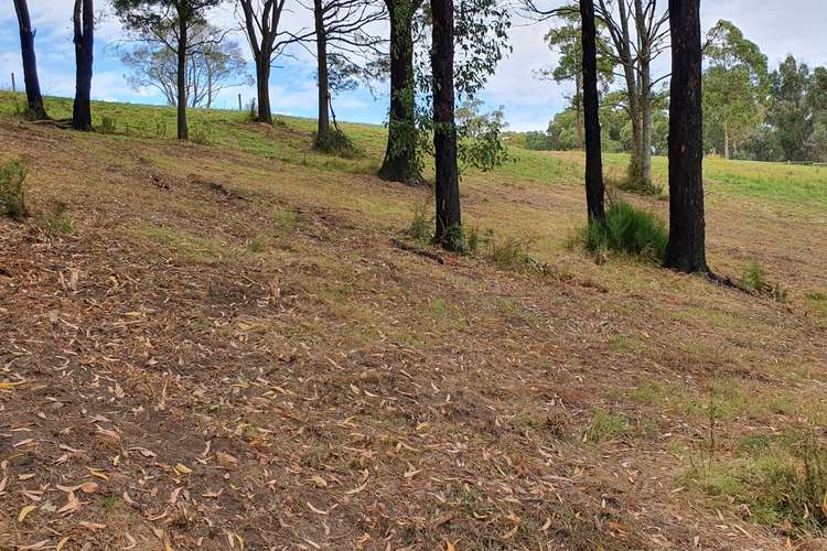 Fifth view of Homely ruralOther listing, LOT 1-12 Happy Go Lucky Road, Walhalla VIC 3825