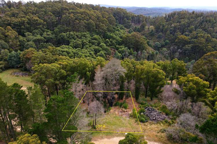 Seventh view of Homely ruralOther listing, LOT 1-12 Happy Go Lucky Road, Walhalla VIC 3825