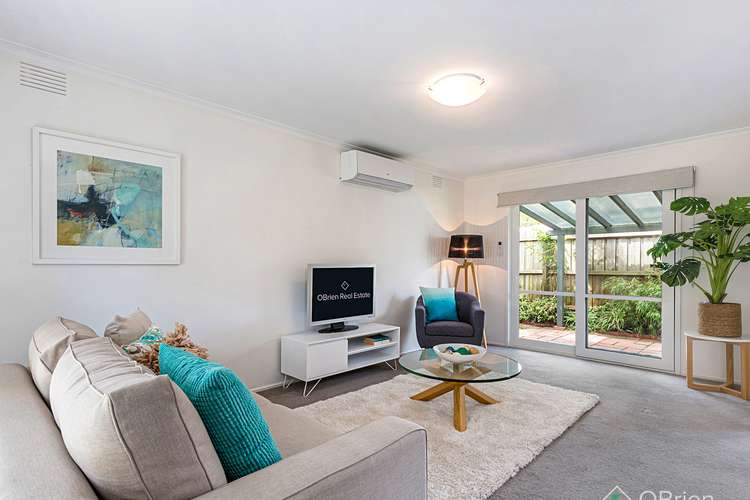 3/2 Wisewould Avenue, Seaford VIC 3198