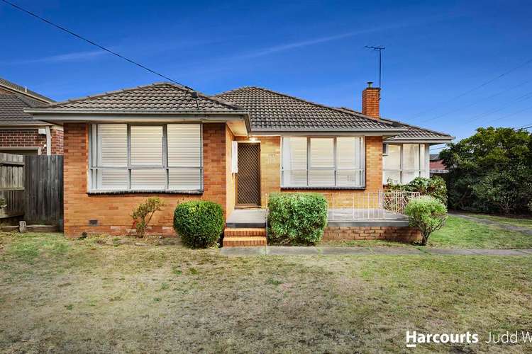 Main view of Homely house listing, 14 Bettina Street, Burwood East VIC 3151