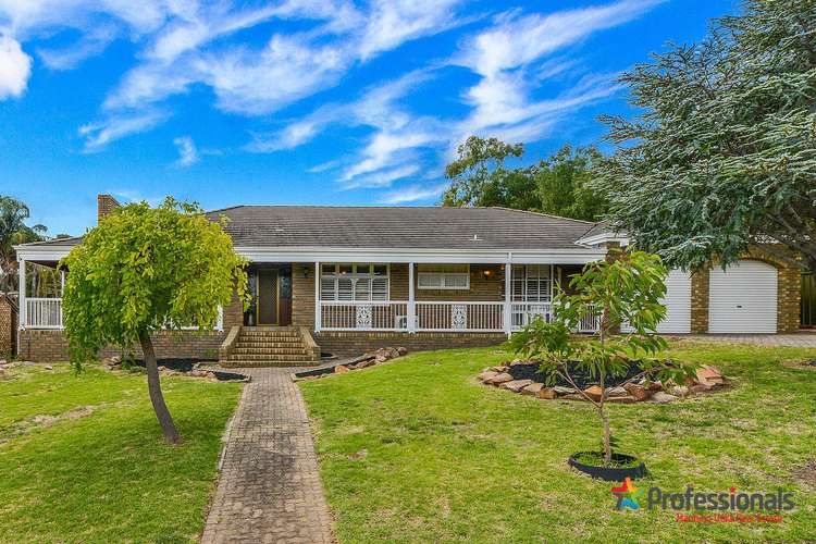 17 Pellew Avenue, Auldana SA 5072