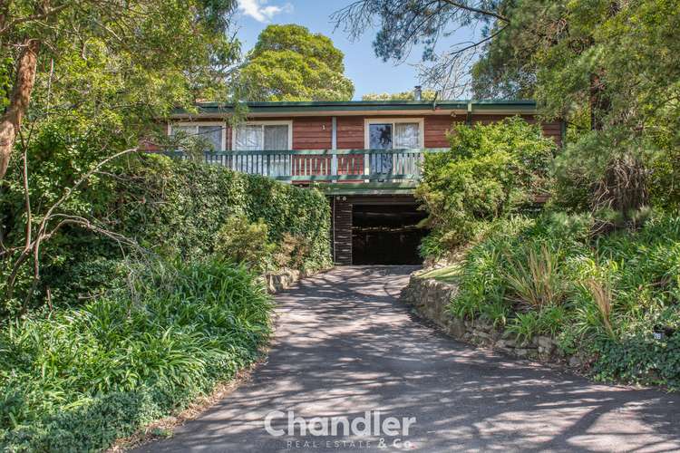 Main view of Homely house listing, 42 Belmont Avenue, Upwey VIC 3158