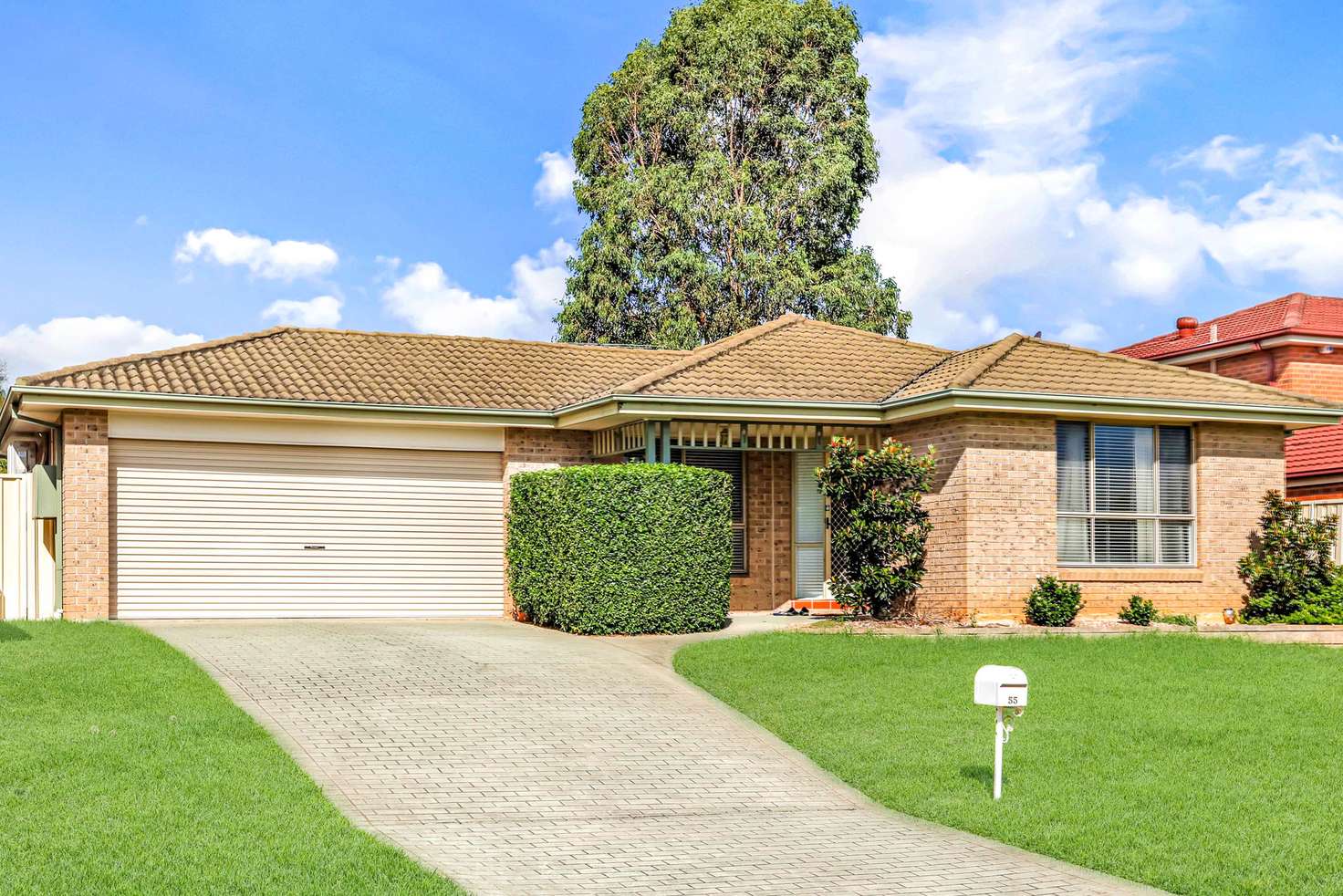 Main view of Homely house listing, 55 Ironbark Crescent, Blacktown NSW 2148