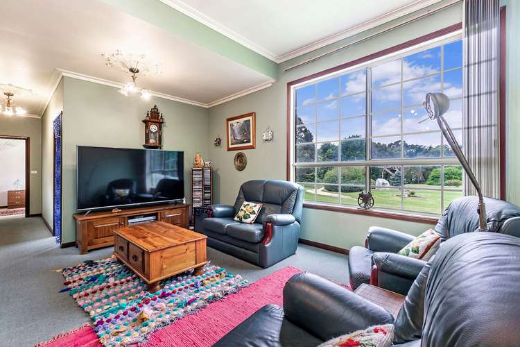 Fifth view of Homely house listing, 14 Pine Tree Lane, Portland VIC 3305