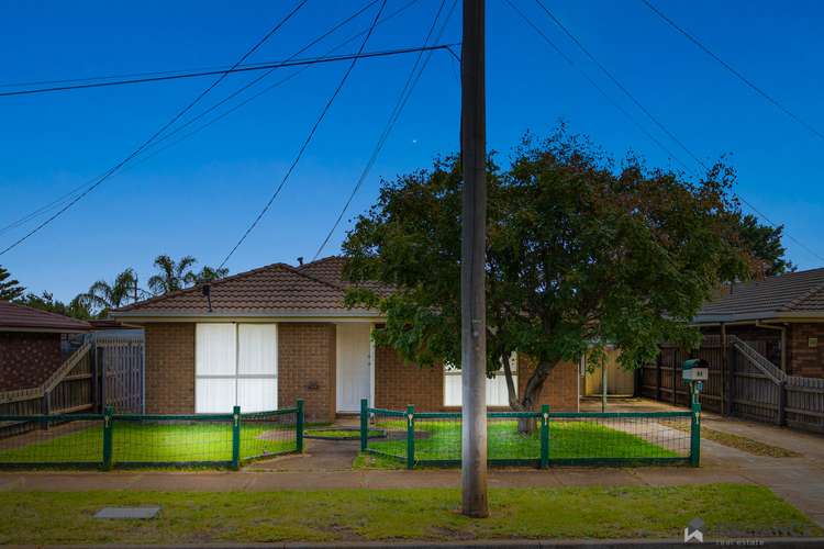 Main view of Homely house listing, 31 Wills Road, Melton South VIC 3338